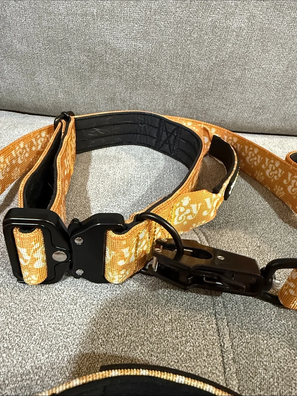 Orange Floral Dog Collar and Leash Set